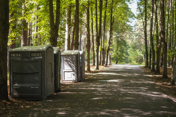 Best Luxury portable toilet rental  in Centreville, MI